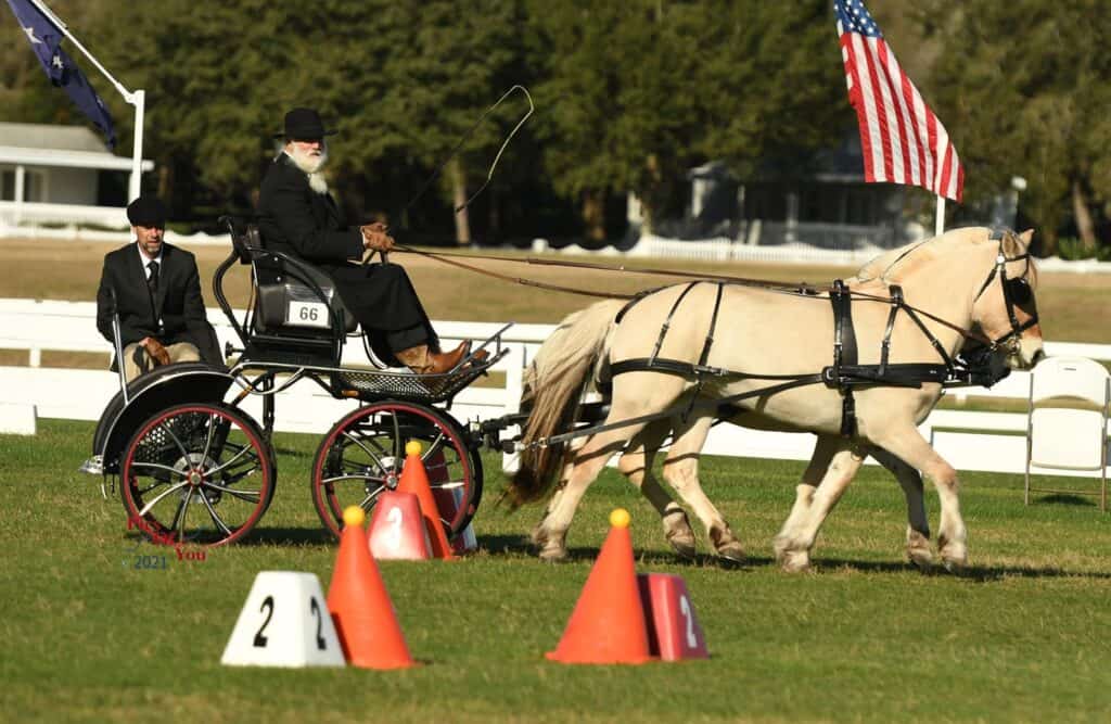 Phillip Odden with Karoline and Petra, USEF Preliminary Pair Pony Combined Driving National Champion at Grand Oaks CDE