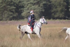 Alex Shampoe on the U.S. Endurance Team at the 2021 FEI Endurance World Championships in Ermelo, The Netherlands