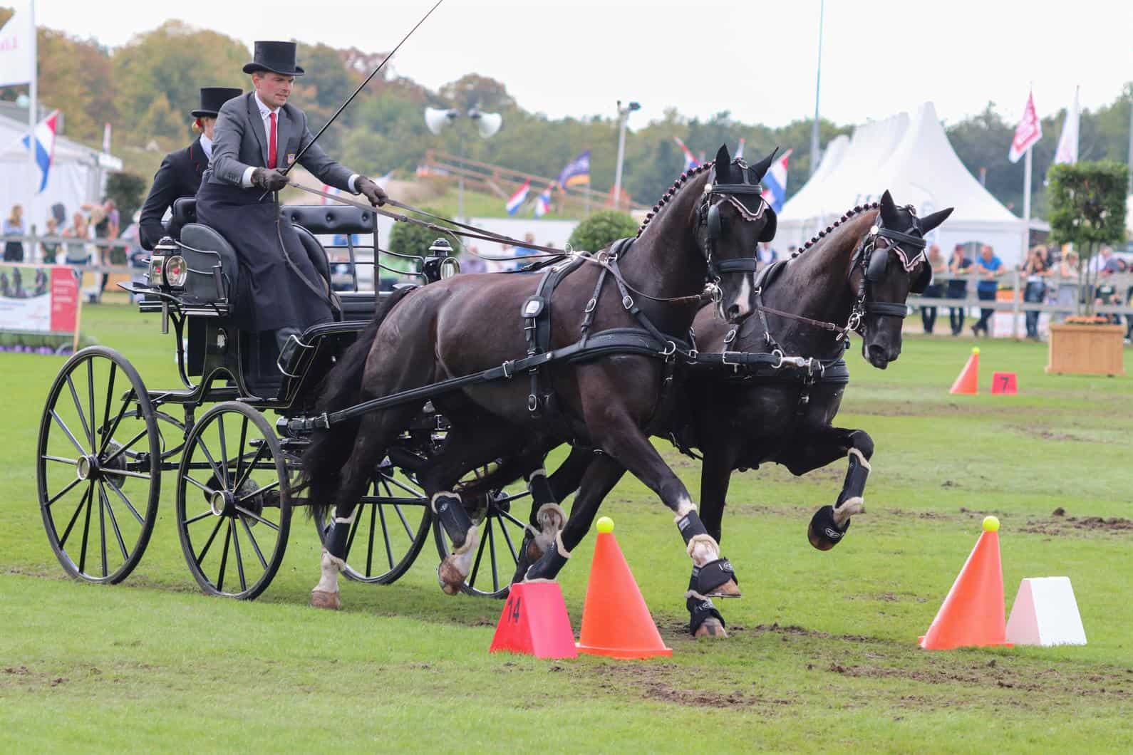 Land Rover U.S. Driving Team Finishes Eighth, Jacob Arnold Is 12th at 2021 FEI Driving World Championship for Pairs