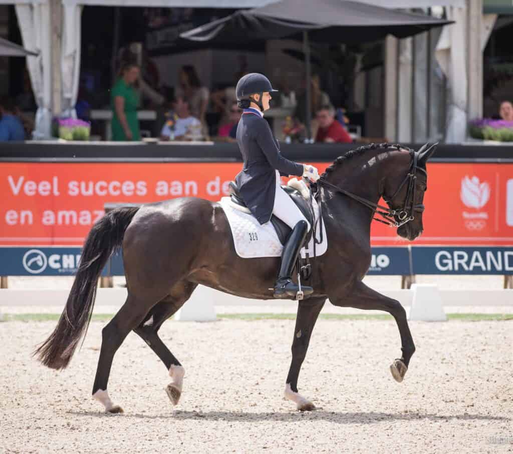 Ashley Holzer and Valentine at CHIO Rotterdam in the FEI Nations Cup – The Netherlands CDIO5*