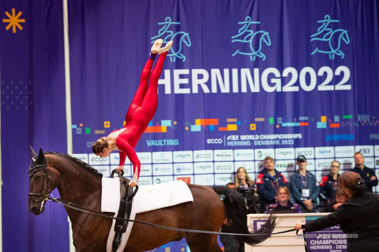 U.S. Completes First Day at Vaulting World Championships Herning