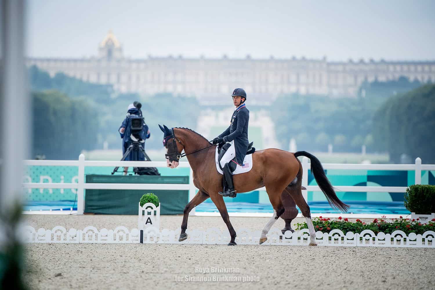 U.S. Eventing Team member Boyd Martin and Federman B in the dressage phase at the 2024 Paris Olympic Games. Photo by Roya Brinkman for Shannon Brinkman Photo