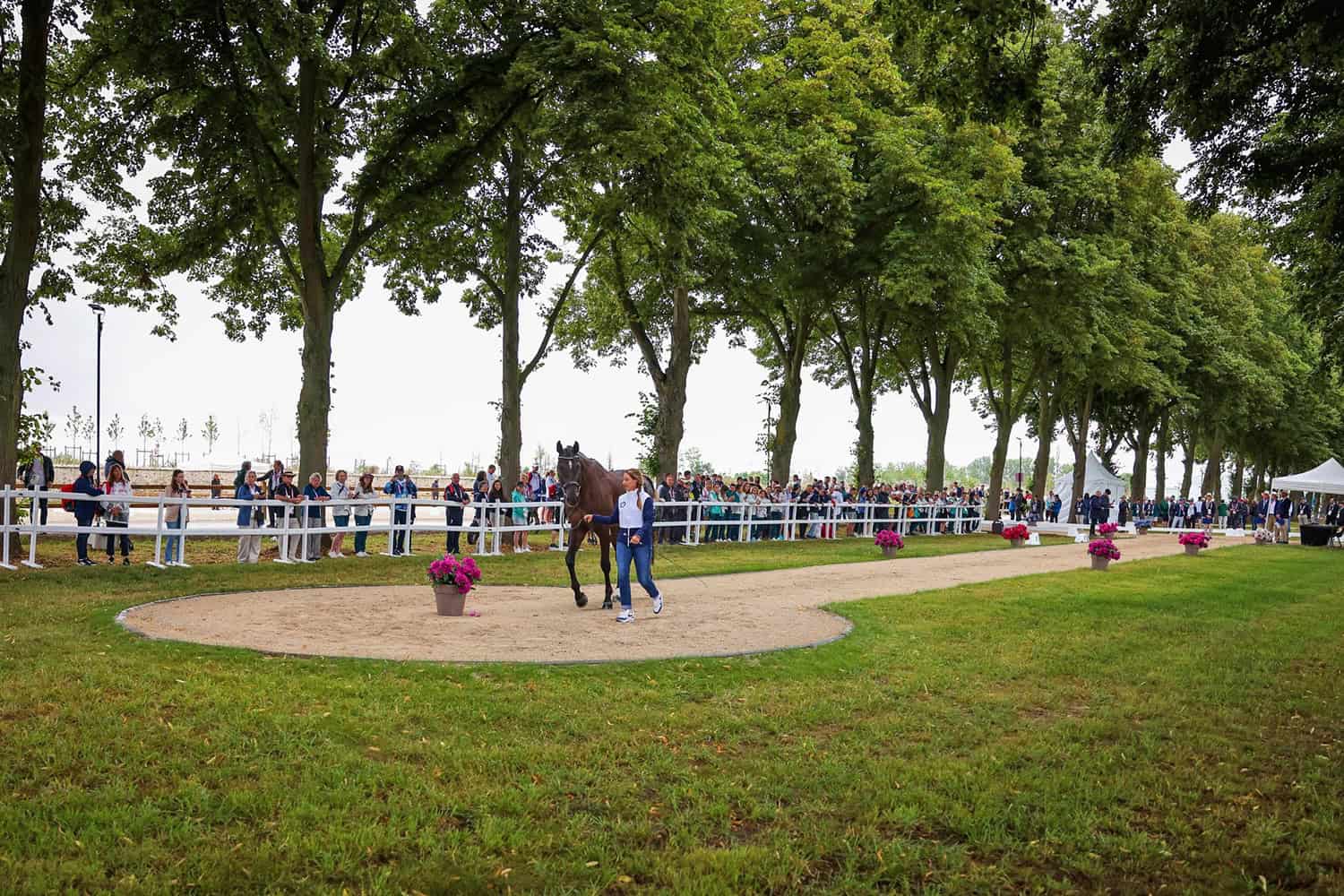 U.S. Eventing Team member Sydney Elliott and QC Diamantaire (Travelling Reserve) at the first horse inspection for the 2024 Paris Olympic Games. Photo by US Equestrian