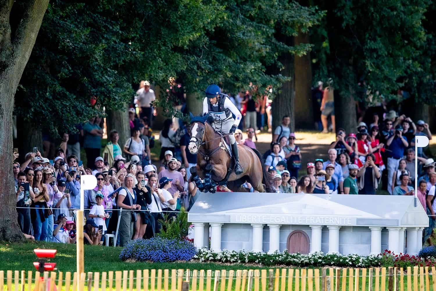 U.S. Eventing Team member Boyd Martin and Federman B on the cross country course at the 2024 Paris Olympic Games. Photo by Roya Brinkman for Shannon Brinkman Photo