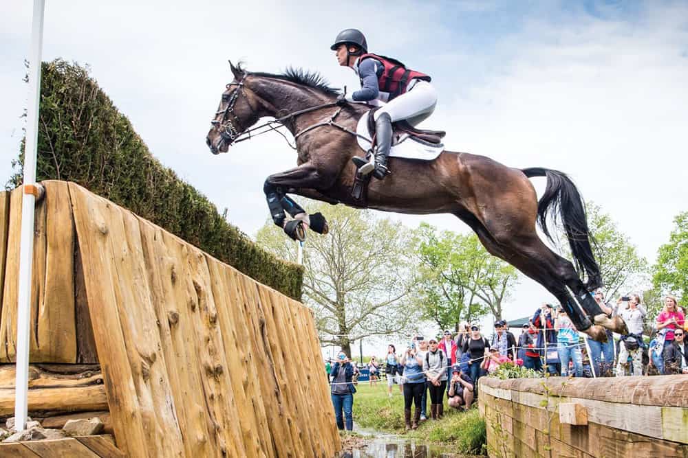 Ariel Grald and Leamore Master Plan by Shannon Brinkman