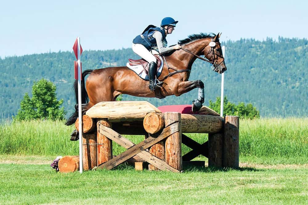 Meg Pellegrini on Eloquence by Shannon Brinkman