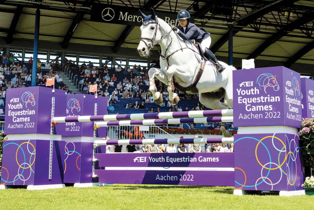 Mimi Gochman and Merino van de Achterhoek by Shannon Brinkman