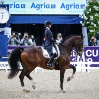 Laura Graves and Verdades