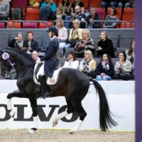 Adrienne Lyle and Salvino