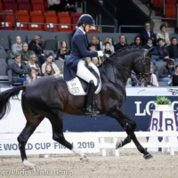 Adrienne Lyle and Salvino