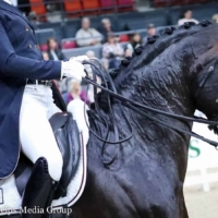 Adrienne Lyle and Salvino