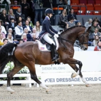 Laura Graves and Verdades