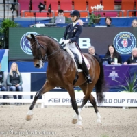 Laura Graves and Verdades