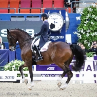 Laura Graves and Verdades