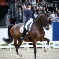 Laura Graves and Verdades