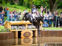 U.S. Eventing Team Gold and Individual Gold Medalist Boyd Martin and Tsetserleg at the 2019 Pan American Games, Lima, Peru. Photo by FEI U.S. Eventing Team Gold and Individual Gold Medalist Boyd Martin and Tsetserleg at the 2019 Pan American Games, Lima, Peru. Photo by FEI