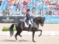 U.S. Dressage Team Silver Medalist Adrienne Lyle and Salvino at the 2018 Tryon World Equestrian Games. Photo by Annan Hepner/Phelps Media Group U.S. Dressage Team Silver Medalist Adrienne Lyle and Salvino at the 2018 Tryon World Equestrian Games. Photo by Annan Hepner/Phelps Media Group