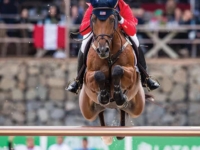 U.S. Jumping Team Bronze Medalist Alex Granato and Carlchen W at the 2019 Pan American Games, Lima, Peru. Photo by Shannon Brinkman U.S. Jumping Team Bronze Medalist Alex Granato and Carlchen W at the 2019 Pan American Games, Lima, Peru. Photo by Shannon Brinkman