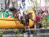 U.S. Eventing Team Gold and Individual Gold Medalist Boyd Martin and Tsetserleg at the 2019 Pan American Games, Lima, Peru. Photo by FEI U.S. Eventing Team Gold and Individual Gold Medalist Boyd Martin and Tsetserleg at the 2019 Pan American Games, Lima, Peru. Photo by FEI
