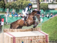 U.S. Eventing Team Gold Medalist Doug Payne and Starr Witness at the 2019 Pan American Games, Lima, Peru. Photo by Shannon Brinkman U.S. Eventing Team Gold Medalist Doug Payne and Starr Witness at the 2019 Pan American Games, Lima, Peru. Photo by Shannon Brinkman