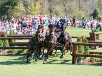 U.S. Driving Team Gold Medalist James Fairclough with Bento, Citens, Dapper, and Zenden at the 2018 Tryon World Equestrian Games. Photo by Elaine Wessel/Phelps Media Group U.S. Driving Team Gold Medalist James Fairclough with Bento, Citens, Dapper, and Zenden at the 2018 Tryon World Equestrian Games. Photo by Elaine Wessel/Phelps Media Group