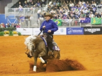 U.S. Reining Team Gold Medalist Jordan Larson and Arc Gunnabeabigstar at the 2018 Tryon World Equestrian Games. Photo by Elaine Wessel/Phelps Media Group U.S. Reining Team Gold Medalist Jordan Larson and Arc Gunnabeabigstar at the 2018 Tryon World Equestrian Games. Photo by Elaine Wessel/Phelps Media Group