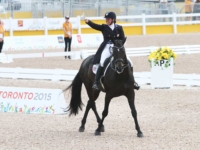U.S. Dressage Team Gold Medalist Kimberly Hershlow and Rosmarin at the 2015 Toronto Pan American Games. Photo by Rebecca Walton/Phelps Media Group U.S. Dressage Team Gold Medalist Kimberly Hershlow and Rosmarin at the 2015 Toronto Pan American Games. Photo by Rebecca Walton/Phelps Media Group