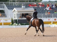 U.S. Dressage Team Gold and Individual Silver Medalist Laura Graves and Verdades at the 2015 Toronto Pan American Games. Photo by Mary Adelaide Brakenridge/Phelps Media Group U.S. Dressage Team Gold and Individual Silver Medalist Laura Graves and Verdades at the 2015 Toronto Pan American Games. Photo by Mary Adelaide Brakenridge/Phelps Media Group
