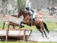 U.S. Eventing Team Gold Medalist Lynn Symansky and RF Cool Play at the 2019 Pan American Games, Lima, Peru. Photo by Shannon Brinkman U.S. Eventing Team Gold Medalist Lynn Symansky and RF Cool Play at the 2019 Pan American Games, Lima, Peru. Photo by Shannon Brinkman