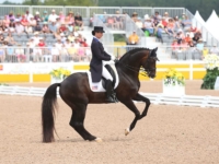 U.S. Dressage Team Gold Medalist Sabine Schut-Kery and Sanceo at the 2015 Toronto Pan American Games. Photo by Mary Adelaide Brakenridge/Phelps Media Group U.S. Dressage Team Gold Medalist Sabine Schut-Kery and Sanceo at the 2015 Toronto Pan American Games. Photo by Mary Adelaide Brakenridge/Phelps Media Group