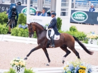 U.S. Dressage Team Silver Medalist Steffen Peters and Suppenkasper at the 2018 Tryon World Equestrian Games. Photo by Shannon Brinkman U.S. Dressage Team Silver Medalist Steffen Peters and Suppenkasper at the 2018 Tryon World Equestrian Games. Photo by Shannon Brinkman