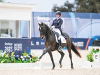Dressage Team Gold and Individual Silver Medalist Anna Marek and Fire Fly at the 2023 Santiago Pan American Games. Photo by Shannon Brinkman Dressage Team Gold and Individual Silver Medalist Anna Marek and Fire Fly at the 2023 Santiago Pan American Games. Photo by Shannon Brinkman
