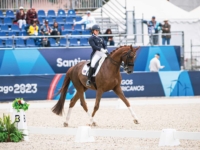 Dressage Team Gold Medalist Cody Harrison and Katholt's Bossco at the 2023 Santiago Pan American Games. Photo by Shannon Brinkman Dressage Team Gold Medalist Cody Harrison and Katholt's Bossco at the 2023 Santiago Pan American Games. Photo by Shannon Brinkman