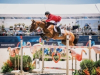 Jumping Team Gold Medalist Karl Cook and Caracole de la Roque at the 2023 Santiago Pan American Games. Photo by Shannon Brinkman Jumping Team Gold Medalist Karl Cook and Caracole de la Roque at the 2023 Santiago Pan American Games. Photo by Shannon Brinkman