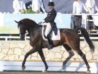 U.S. Dressage Team Gold Medalist Cesar Parra and Grandioso at the 2011 Guadalajara Pan American Games. Photo by Jan Beren U.S. Dressage Team Gold Medalist Cesar Parra and Grandioso at the 2011 Guadalajara Pan American Games. Photo by Jan Beren