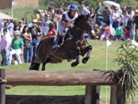 U.S. Eventing Individual Silver Medalist Hannah Sue Burnett and Harbour Pilot at the 2011 Guadalajara Pan American Games. Photo by Karen Robinson U.S. Eventing Individual Silver Medalist Hannah Sue Burnett and Harbour Pilot at the 2011 Guadalajara Pan American Games. Photo by Karen Robinson