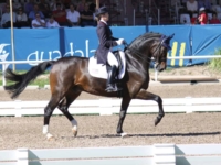 U.S. Dressage Team Gold and Individual Bronze Medalist Marisa Festerling and Big Tyme at the 2011 Guadalajara Pan American Games. Photo by Jan Beren U.S. Dressage Team Gold and Individual Bronze Medalist Marisa Festerling and Big Tyme at the 2011 Guadalajara Pan American Games. Photo by Jan Beren