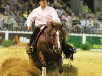 U.S. Reining Team Gold Medalist and Individual Silver Medalist Andrea Fappani with Custom Cash Advance at the 2014 Normandy World Equestrian Games. Photo by Phelps Media Group U.S. Reining Team Gold Medalist and Individual Silver Medalist Andrea Fappani with Custom Cash Advance at the 2014 Normandy World Equestrian Games. Photo by Phelps Media Group