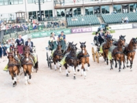 Victory Lap for U.S. Driving Team Gold Medalists Chester Weber with Splash, First Edition, Reno, and Boris W, Misdee Wrigley Miller with Beau, Bravour 54, Bolino D, and Calipso 86, and James Fairclough with Bento, Citens, Dapper, and Zenden, at the 2018 Tryon World Equestrian Games. Photo by Shannon Brinkman Victory Lap for U.S. Driving Team Gold Medalists Chester Weber with Splash, First Edition, Reno, and Boris W, Misdee Wrigley Miller with Beau, Bravour 54, Bolino D, and Calipso 86, and James Fairclough with Bento, Citens, Dapper, and Zenden, at the 2018 Tryon World Equestrian Games. Photo by Shannon Brinkman