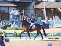 U.S. Para Dressage Grade III Individual Bronze Medalist Rebecca Hart and El Corona Texel at the 2018 Tryon World Equestrian Games. Photo by Annan Hepner/Phelps Media Group U.S. Para Dressage Grade III Individual Bronze Medalist Rebecca Hart and El Corona Texel at the 2018 Tryon World Equestrian Games. Photo by Annan Hepner/Phelps Media Group