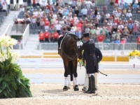 U.S. Dressage Individual Silver Medalist Steffen Peters and Legolas 92 at the 2015 Toronto Pan American Games. Photo by Mary Adelaide Brakenridge/Phelps Media Group U.S. Dressage Individual Silver Medalist Steffen Peters and Legolas 92 at the 2015 Toronto Pan American Games. Photo by Mary Adelaide Brakenridge/Phelps Media Group