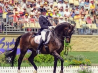 U.S. Team Bronze Medalist Christine Traurig and Etienne at the 2000 Sydney Olympics, AUS. Photo by Karl Leck U.S. Team Bronze Medalist Christine Traurig and Etienne at the 2000 Sydney Olympics, AUS. Photo by Karl Leck