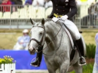 U.S. Team Bronze Medalist Robert Dover and Rainier at the 2000 Sydney Olympics, AUS. Photo by USET Archive U.S. Team Bronze Medalist Robert Dover and Rainier at the 2000 Sydney Olympics, AUS. Photo by USET Archive