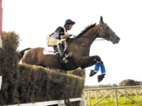 U.S. Eventing Team Gold Medalist David O’Connor and Giltedge at the 2002 World Equestrian Games, Jerez, ESP. Photo by Charles Mann U.S. Eventing Team Gold Medalist David O’Connor and Giltedge at the 2002 World Equestrian Games, Jerez, ESP. Photo by Charles Mann