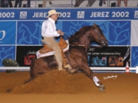 U.S. Reining Team Gold Medalist Scott McCutcheon and Inwhizable at the 2002 World Equestrian Games, Jerez, ESP. Photo by Waltenberry U.S. Reining Team Gold Medalist Scott McCutcheon and Inwhizable at the 2002 World Equestrian Games, Jerez, ESP. Photo by Waltenberry