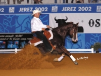 U.S. Reining Team and Individual Gold Medalist Shawn Flarida and San Jo Freckles at the 2002 World Equestrian Games, Jerez, ESP. Photo by Waltenberry U.S. Reining Team and Individual Gold Medalist Shawn Flarida and San Jo Freckles at the 2002 World Equestrian Games, Jerez, ESP. Photo by Waltenberry