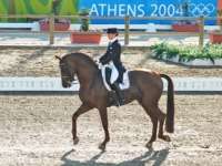 U.S. Dressage Team Bronze Medalist Lisa Wilcox and Relevant at the 2004 Athens Olympic Games. Photo © 2004 by Nancy Jaffer U.S. Dressage Team Bronze Medalist Lisa Wilcox and Relevant at the 2004 Athens Olympic Games. Photo by Nancy Jaffer