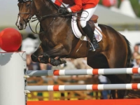 U.S. Jumping Team Silver and Individual Silver Medalist Beezie Madden with Authentic) at the 2006 Aachen World Equestrian Games. Photo by PMG Pictures U.S. Jumping Team Silver and Individual Silver Medalist Beezie Madden with Authentic at the 2006 Aachen World Equestrian Games. Photo by PMG Pictures