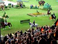 U.S. Victory lap for the Dressage Team Bronze Medalists Guenter Seidel with Aragon, Debbie McDonald with Brentina, Steffen Peters with Floriano, and Leslie
Morse with Tip Top 962 at the 2006 Aachen World Equestrian Games. Photo by Erin Gilmore U.S. Victory lap for the Dressage Team Bronze Medalists Guenter Seidel with Aragon, Debbie McDonald with Brentina, Steffen Peters with Floriano, and Leslie Morse with Tip Top 962 at the 2006 Aachen World Equestrian Games. Photo by Erin Gilmore