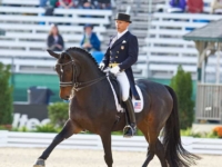 U.S. Dressage Individual Bronze Medalist Steffen Peters and Ravel at the 2010 World Equestrian Games, Lexington, USA. Photo by Susan J. Stickle U.S. Dressage Individual Bronze Medalist Steffen Peters and Ravel at the 2010 World Equestrian Games, Lexington, USA. Photo by Susan J. Stickle
